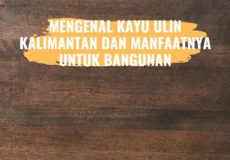 Mengenal Kayu Ulin Kalimantan dan Manfaatnya untuk Bangunan