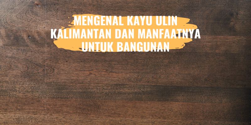 Mengenal Kayu Ulin Kalimantan dan Manfaatnya untuk Bangunan