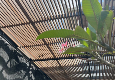Kisi-kisi kayu bengkirai proyek cakung jakarta